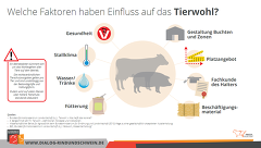 Tierwohl Bestandsgröße