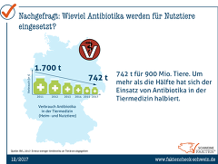 Antibiotikaverbrauch in der Nutztierhaltung