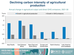 (c) FAO/OECD: Declining carbon intensity of agriculture production