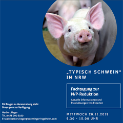 Typisch Schwein 2019