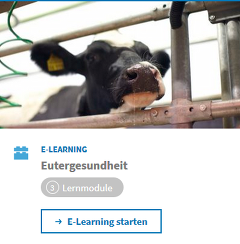 (c) DLQ: eLearning Eutergesundheit