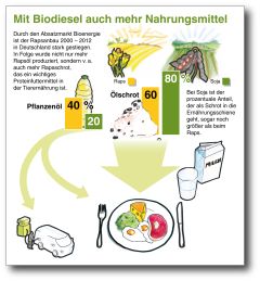 (c) Ovid Mit Biodiesel auch mehr Nahrungsmittel