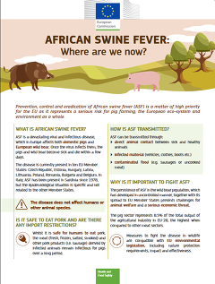 African Swine Fever ASF