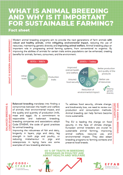 EFFAB: WHAT IS ANIMAL BREEDING AND WHY IS IT IMPORTANT FOR SUSTAINABLE FARMING? Fact sheet