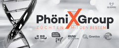 Phönix Group2