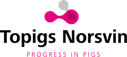 TopigsNorsvin