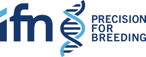 Ifn Logo E