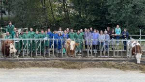Treffen der Arbeitsgruppe Exterieur der Europäischen Vereinigung der Fleckviehzüchter (EVF) in Österreich im Oktober 2025; Foto: F. Pilsl