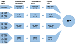 The composition of the RZE
© BRS