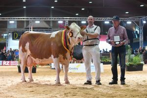 Grand Champion Fleckvieh Larissa von Hilsenbek aus Ellwangen
© Christine Massfeller