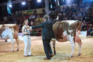 Grand Champion Red Holsteins ZR Helene von Thomas Rohdemann
© Christine Massfeller