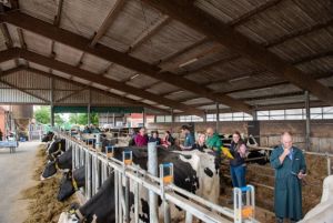 Praxisübung Kuheinstufung bei der Tagung in Bremerhaven (Bildquelle Dorothee Warder)