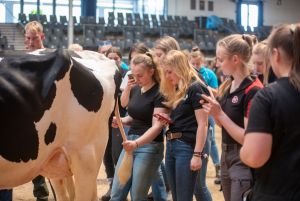 Tierbeurteilungs- und Rangierwettbewerb
© Dorothee Warder