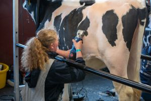 Clipping-Wettbewerb Siegerin Jung Fenna Gödeker (MAR)
© Dorothee Warder