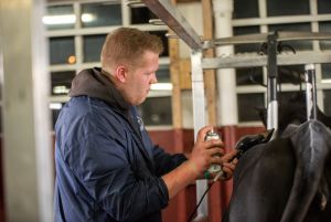 Clipping-Wettbewerb Sieger Alt Marvin Pacholke (MAR)
© Dorothee Warder