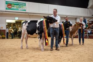 Typtier Sieger Jung (v.r.n.l Sieger: Bunga Bunga (Denver), Höven Holsteins, Reservesieger: Loh Louvre (Cash), Andreas Lohmöller, HM: RS Rosalie (Avance-Red), RS Strudthoff)
© Dorothee Warder