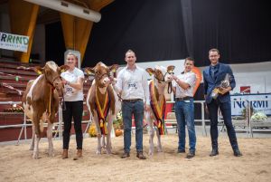 Typtier Sieger Alt (v.r.n.l Sieger: FG London (Unstopabul), Henrik Wille, Reservesieger: Hat Oklahoma (Avatar Red), J.&B. Hatke, HM: Alisa (Jordy), Dirk Huhne)
© Dorothee Warder