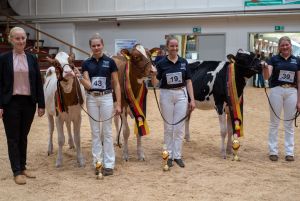 Vorführwettbewerb Sieger Jung Jungzüchter (v.r.n.l. Sieger Jung: Fenna Gödeker (MAR), Reservesieger Jung: Melissa Bange (RUW), HM: Laura Köster (RUW))
© Dorothee Warder