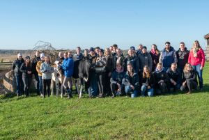 VdJ Preisrichterworkshop 2023