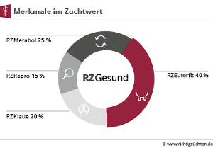 Die Zusammensetzung des RZGesund