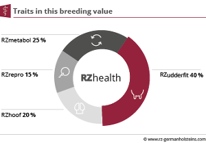The composition of the RZhealth