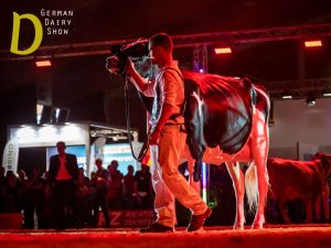 German Dairy Show
© Mathias Penn