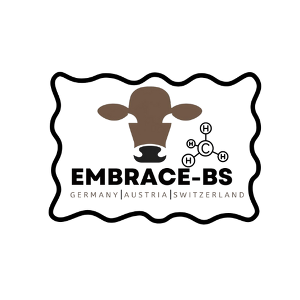 Logo EMBRACE-BS