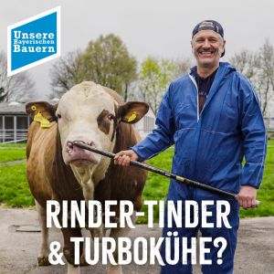 (c)Unsere Bayerischen Bauern: Rinderzucht erklärt