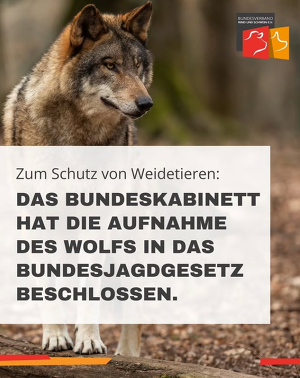 Wolfs ins Bundesjagdgesetz