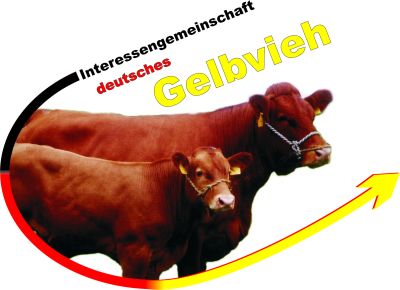 Logo GelbviehbeimRZVFranken Logo GelbviehbeimRZVFranken
