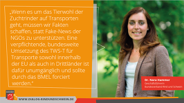 Zitatgrafik Dr. Nora Hammer zur BRS-Stellungnahme "Bundesministerium greift in den Markt ein und untersagt Transporte von Zuchtrindern in Drittstaaten"