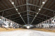 Das CFIT System Installiert In Fischbeck (Bildquelle Dorothee Warder BRS) Das CFIT System Installiert In Fischbeck (Bildquelle Dorothee Warder BRS)