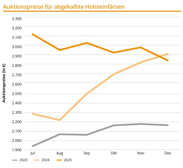 Quartalszahlen OKT–DEZ 2025