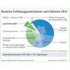 DBV (c) Treihausgasemissionen nach Sektoren