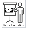 Kastrationsveranstaltungen