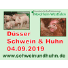 "Schwein und Huhn 2019", Haus Düsse