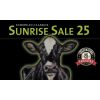 SundriseSale 2020 Online