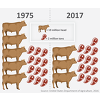 Durch Intensivierung zu einer nachhaltigeren Tierproduktion (c: USDA)