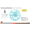 Reserveantibiotika In Der Tiermedizin